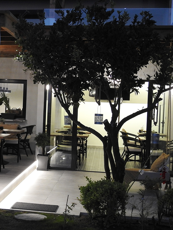 Product hover image 2